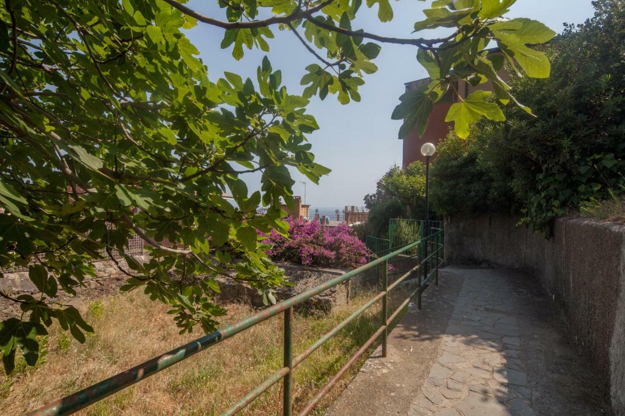 Il Geco Apartment Monterosso al Mare Ngoại thất bức ảnh